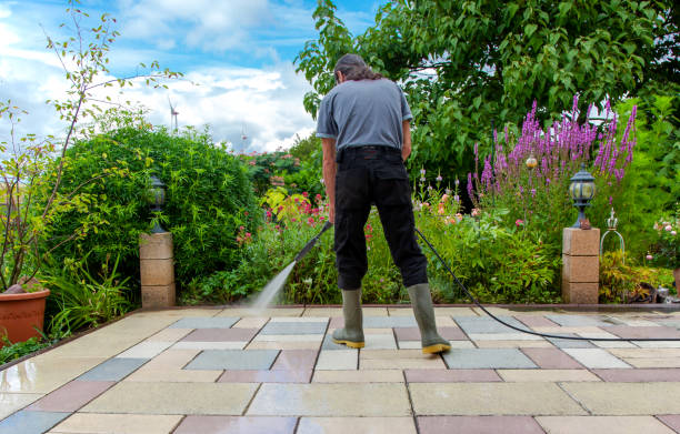 Best Driveway Cleaning and Restoration in Ravenswood, WV