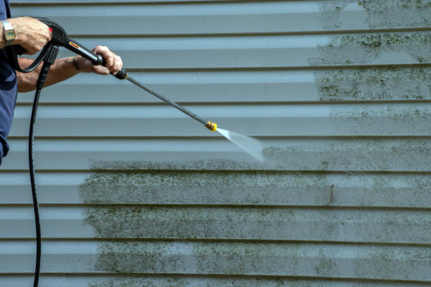 Best Sidewalk and Walkway Pressure Cleaning in Ravenswood, WV